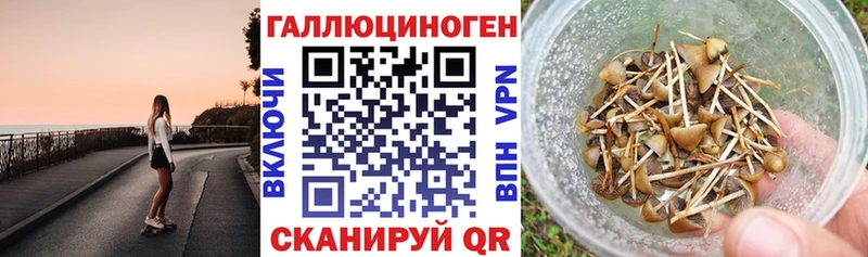 Псилоцибиновые грибы мицелий дарк нет телеграм Зуевка дарнет шоп